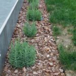 Sitni malč od borove kore