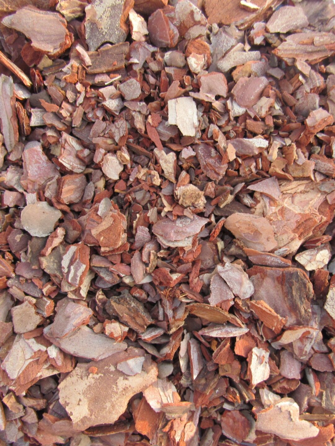 Sitni malč od borove kore