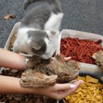 Krupni malč od borove kore