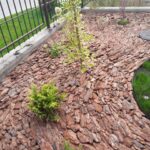 Krupni malč od borove kore